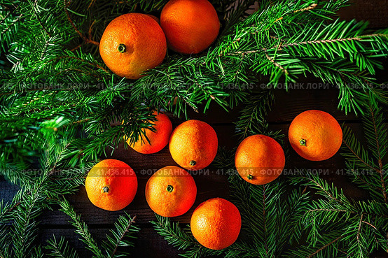 Christmas composition with tangerines and spruce branch. Стоковое фото, фотограф Галина Царькова / Фотобанк Лори