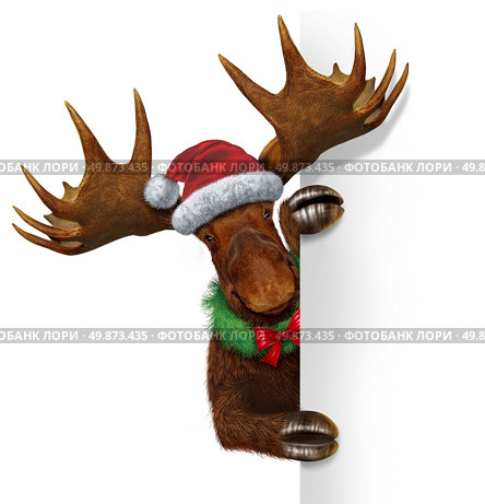 Christmas holiday northern moose with huge antlers holding a blank white sign wearing a santacluse hat and a wreath with a red bow with copy space as a festive winter season communication and advertising for seasonal celebration of the new year. Стоковое фото, агентство Ingram Publishing / Фотобанк Лори