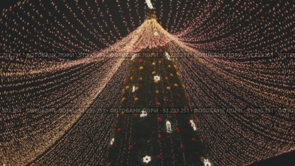 Christmas tree with illumination in the night city. Christmas trees with lights and decoration, winter season. Стоковое видео, видеограф Wonderful nature / Фотобанк Лори
