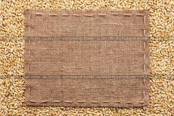 Classical frame on barley grain. Стоковое фото, фотограф Александр Собко / Фотобанк Лори