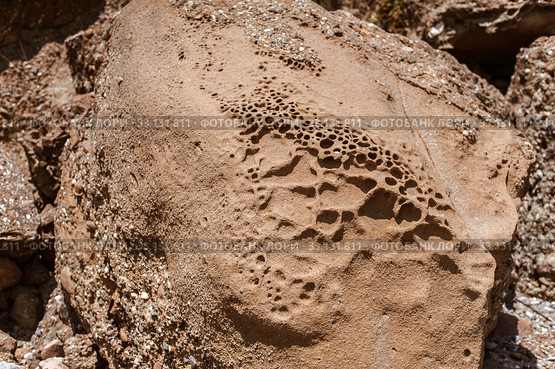 clay and sand on a stone with holes and dimples formed from wind. Стоковое фото, фотограф katalinks / Фотобанк Лори