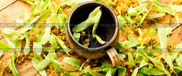 Clay cup and fresh foliage and inflorescences of linden.Herbal medicine and homeopathy.Healing plants.. Healing tea from linden inflorescences. Стоковое фото, агентство Ingram Publishing / Фотобанк Лори