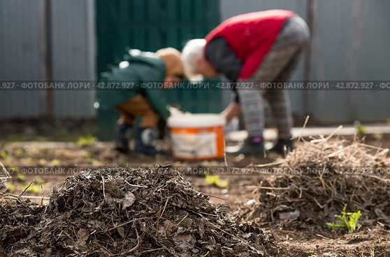 Clean-up day in early spring. Piles of old leaves in the foreground are in focus. A woman and a child are doing general cleaning in the garden in the background. People clean the lawn of dry leaves in the spring season. Gardening. Garden cleaning. Стоковое фото, фотограф Photojuli / Фотобанк Лори