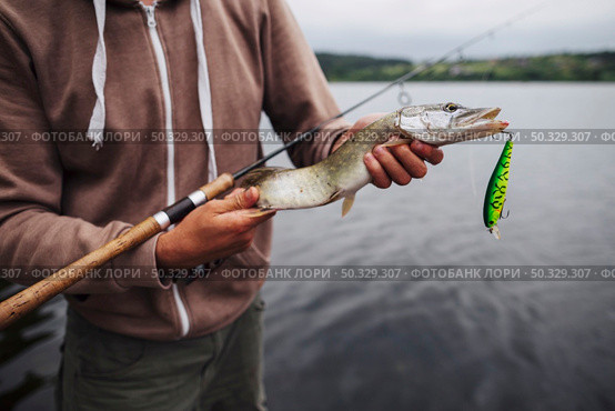 close up man holding freshly caught fish with lure. High resolution photo. close up man holding freshly caught fish with lure. High quality photo. Стоковое фото, агентство Ingram Publishing / Фотобанк Лори