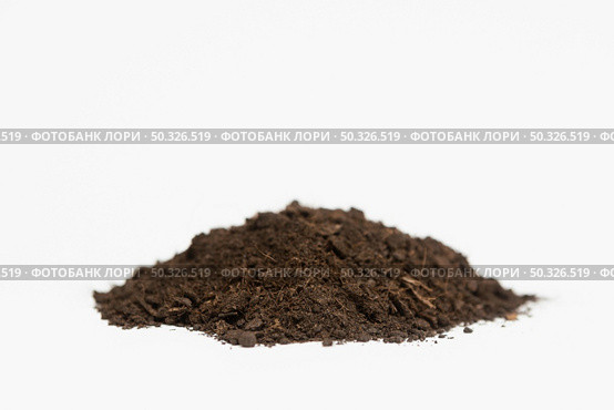 close up natural soil. Resolution and high quality beautiful photo. close up natural soil. High quality beautiful photo concept. Стоковое фото, агентство Ingram Publishing / Фотобанк Лори