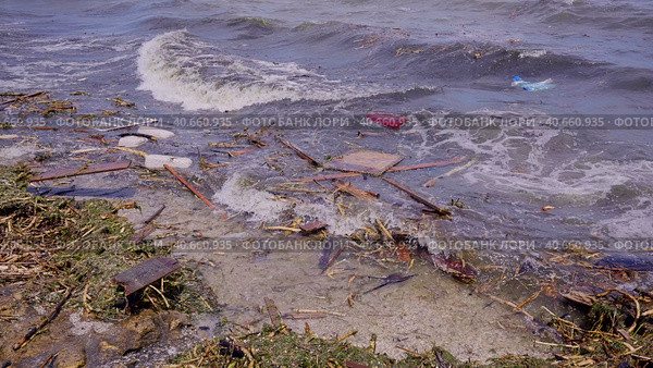 Close-up of floating debris has reached Black Sea beaches in Odessa, Ukraine. Environmental disaster caused by the explosion of Kakhovka Hydroelectric Power Plant dam. Стоковое фото, фотограф Некрасов Андрей / Фотобанк Лори