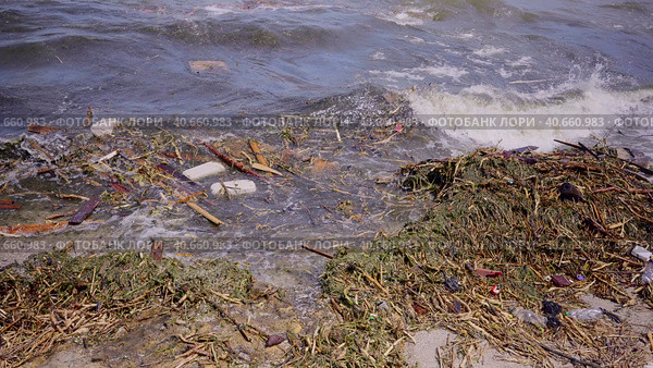 Close-up of floating debris has reached Black Sea beaches in Odessa, Ukraine. Environmental disaster caused by the explosion of Kakhovka Hydroelectric Power Plant dam. Стоковое фото, фотограф Некрасов Андрей / Фотобанк Лори