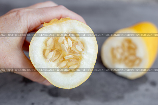 Close up of hand holding cut yellow overripe cucumber with seeds. Growing cucumber seeds for planting. Стоковое фото, фотограф Коханова Наталья / Фотобанк Лори