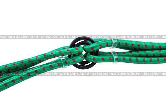 Close-up of plastic ring holding several green bungee cords with metal hooks. Durable gear organizer on white background for automotive and outdoor use. Стоковое фото, фотограф Татьяна Терехина / Фотобанк Лори