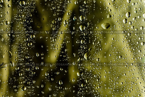 close up raindrops blurred background. Стоковое фото, агентство Ingram Publishing / Фотобанк Лори