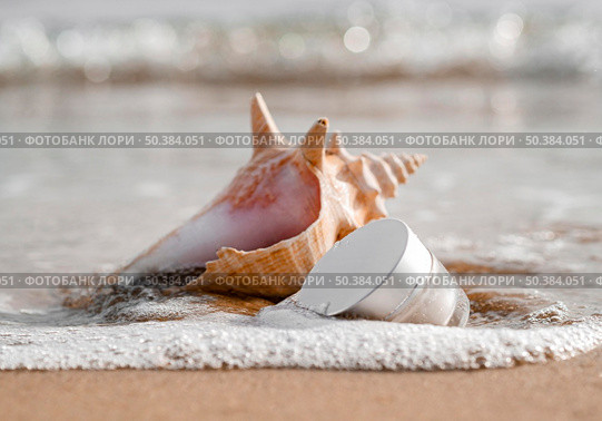close up skin care moisture recipient arrangement seashell. Стоковое фото, агентство Ingram Publishing / Фотобанк Лори