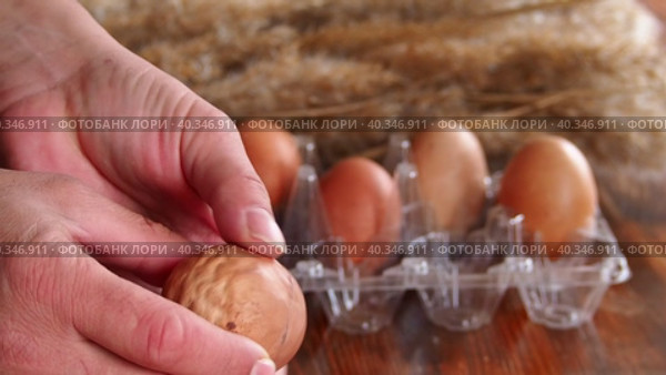 Close-up view of a deformed chicken egg. An ugly abnormal crooked egg compared to the right one. Lack of trace elements in the body of old chickens. Стоковое видео, видеограф Александр Кротков / Фотобанк Лори