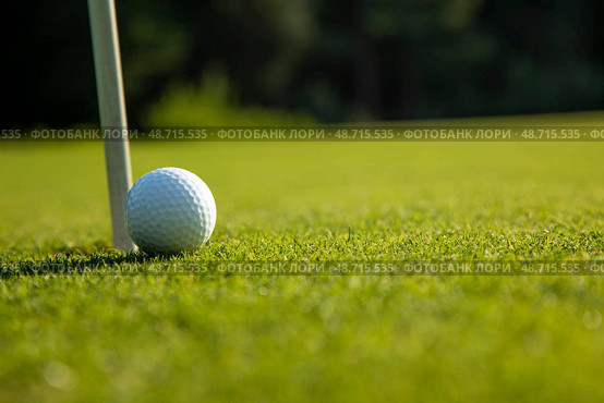 Closeup Golf ball on green grass on course. Стоковое фото, фотограф Sebastian Duda / Smarterpix / Фотобанк Лори
