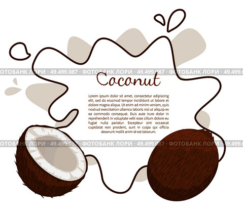 Coconut exotic fruit vector poster frame and place for text. Tropical food, plant in brown shell, dieting milk for cocktails inside, vegetarian coco icon. Coconut Exotic Fruit Whole Cut Vector Poster. Стоковая иллюстрация, агентство Ingram Publishing / Фотобанк Лори