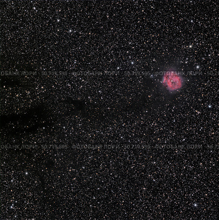 Cocoon Nebula Phillip Jones/Stocktrek Images. Стоковое фото, агентство ТАСС / Фотобанк Лори