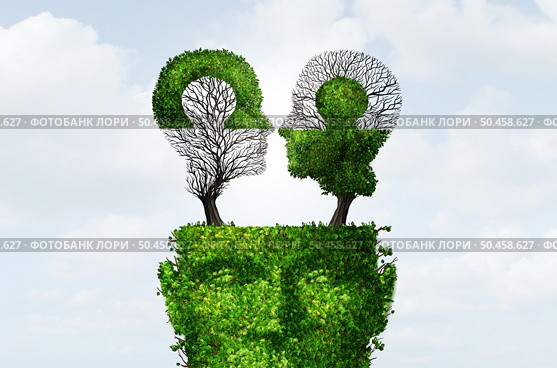 Cognitive Dissonance and Rationalization as logical reasoning or mental illness as a troubled mind and brain conflict as a tree shaped as a human head with 3D illustration elements. Стоковое фото, агентство Ingram Publishing / Фотобанк Лори