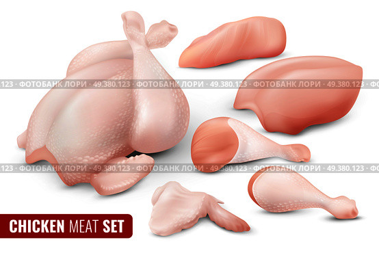 Colored chicken meat icon set with different parts of chicken carcass separated and chopped vector illustration. Chicken Meat Icon Set. Стоковая иллюстрация, агентство Ingram Publishing / Фотобанк Лори