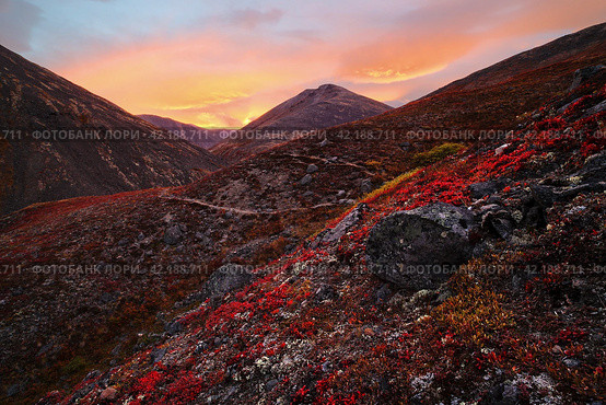 Colorful autumn mountain landscape. Amazing arctic nature. Sunset in the mountains in the Extreme North. Beautiful landscape of Chukotka. Iskaten Ridge, Chukotka, Siberia, Far East of Russia. Arctic. Стоковое фото, фотограф Андрей Степанов / Фотобанк Лори