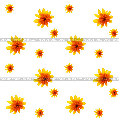 Colorful yellow echinacea on white background. Seamless pattern. Vector illustration. EPS10. Colorful yellow echinacea on white background. Seamless pattern. Vector illustration. Стоковая иллюстрация, агентство Ingram Publishing / Фотобанк Лори