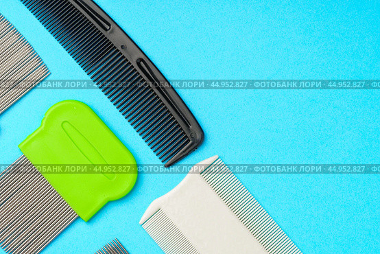 Comb for lice removing on blue background. Стоковое фото, фотограф Сергей Толмачёв / Фотобанк Лори