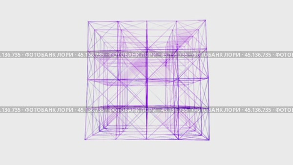 Complex plexus structure transforming on white background. Стоковое видео, видеограф Данил Руденко / Фотобанк Лори