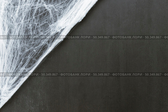 composition halloween with cobweb. Стоковое фото, агентство Ingram Publishing / Фотобанк Лори