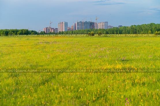 Construction of multi-storey residential buildings in the middle of the forest. Стоковое фото, фотограф Михаил Решетников / Фотобанк Лори