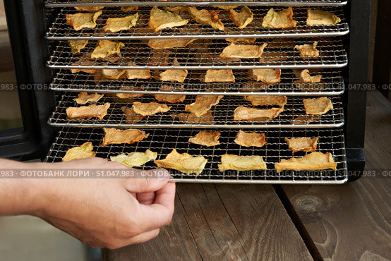Cooking chips in a dehydrator. A man's hand pulls out a metal rack with dried fruit slices from an electric dehydrator. Стоковое фото, фотограф Роман Дзюбало / Фотобанк Лори