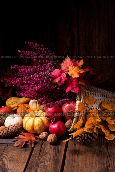 Cornucopia. Стоковое фото, агентство Ingram Publishing / Фотобанк Лори