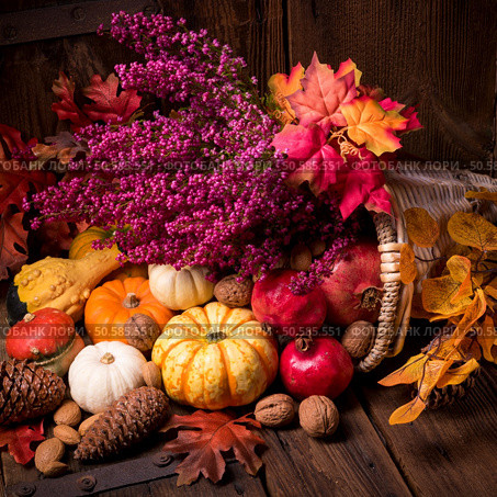Cornucopia. Стоковое фото, агентство Ingram Publishing / Фотобанк Лори