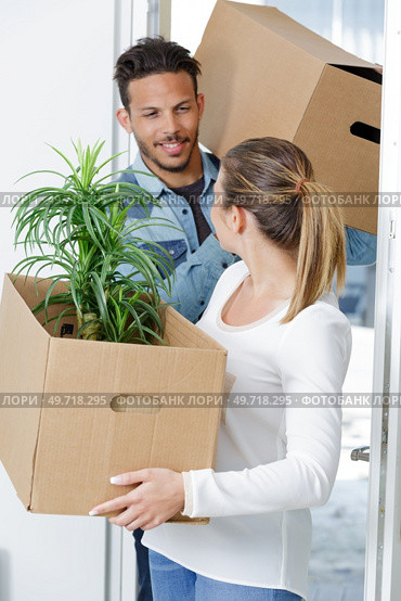 couple entering property holding cardboard box and green plant. Стоковое фото, агентство Ingram Publishing / Фотобанк Лори