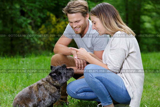 couple training dog in park. Стоковое фото, агентство Ingram Publishing / Фотобанк Лори