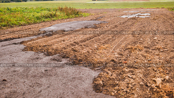 Cow manure in the field. Natural fertilizer. Стоковое фото, фотограф Mikhail Davidovich / Фотобанк Лори