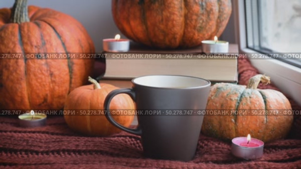 Cozy Hygge scene with sweater and candles. Orange pumpkins and cup of tea ore coffee. Halloween concept, cozy home, aromatherapy. Стоковое видео, видеограф Марина Демидюк / Фотобанк Лори