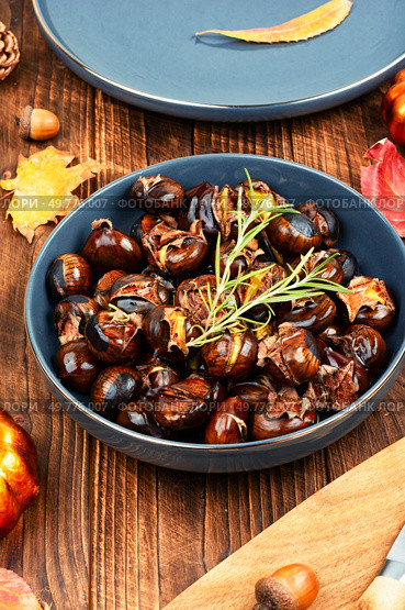 Cracked roasted chestnuts, roasted chestnuts some chestnuts split open , garnished with fresh rosemary, styled with autumn leaves.. Charred roasted Chestnuts. Стоковое фото, агентство Ingram Publishing / Фотобанк Лори