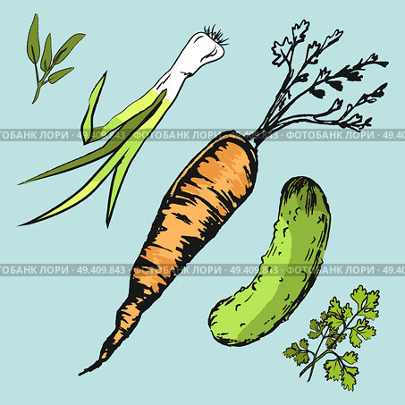 Crispy carrot, green cucumber, spicy leek, fresh laurel leaves and leafy parsley isolated vector illustrations on blue background.. Crispy Carrot, Green Cucumber and Fresh Greens. Стоковая иллюстрация, агентство Ingram Publishing / Фотобанк Лори