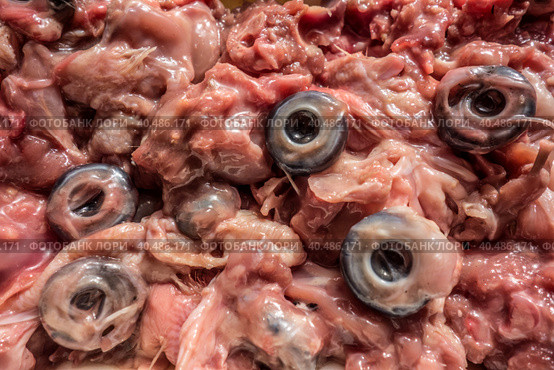 Crushed raw chicken heads with separate eyes. Cat food. Стоковое фото, фотограф Iva Noel / Фотобанк Лори