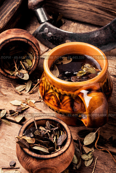 Cup of healthy herbal tea.Cowberry leaf tea. Herbal tea and ingredients. Стоковое фото, агентство Ingram Publishing / Фотобанк Лори