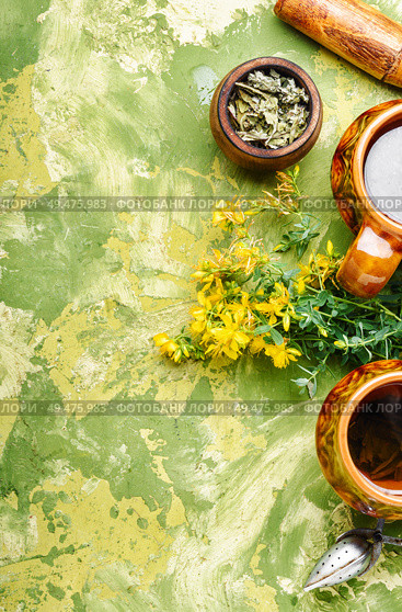 Cup with medicinal tea from Hypericum.Herbal medicine. Tea with Hypericum flowers. Стоковое фото, агентство Ingram Publishing / Фотобанк Лори