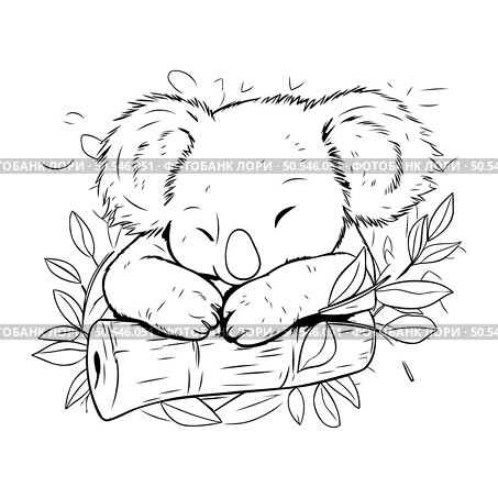 Cute koala sleeping on a branch. Hand drawn vector illustration. Стоковая иллюстрация, агентство Ingram Publishing / Фотобанк Лори