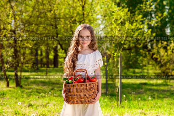 Cute smiling little girl holds basket  with tomatoes and cucumbers at the farm. Стоковое фото, фотограф Юлия Тарасова / Фотобанк Лори