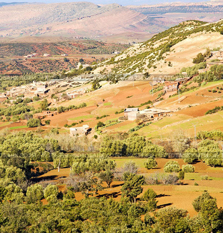 dades valley in atlas moroco africa ground tree  and nobody. Стоковое фото, агентство Ingram Publishing / Фотобанк Лори