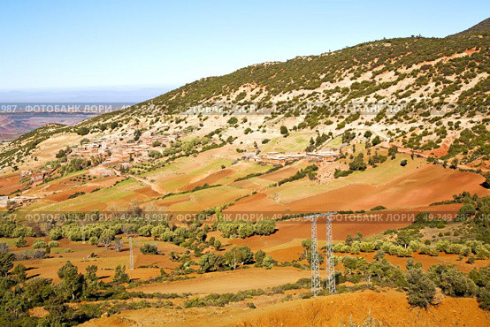 dades valley in atlas moroco africa ground tree  and nobody. Стоковое фото, агентство Ingram Publishing / Фотобанк Лори