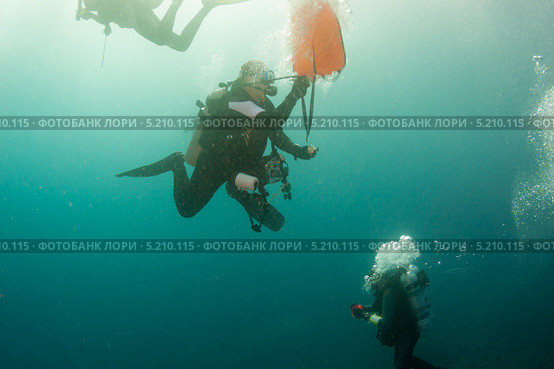 Дайверы готовятся к всплытию. Стоковое фото, фотограф Сергей Дубров / Фотобанк Лори