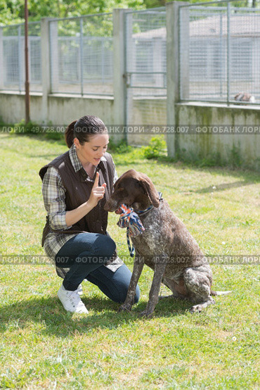 dedicated girl training dog in kennel. Стоковое фото, агентство Ingram Publishing / Фотобанк Лори