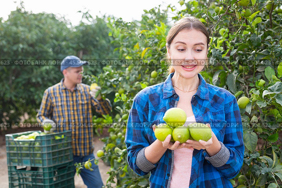 Delighted farmer woman holding lemons in fruit farm. Стоковое фото, фотограф Яков Филимонов / Фотобанк Лори