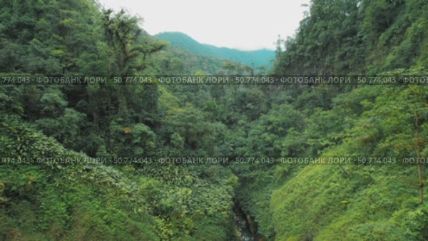 Dense forest and river valley surrounding Toro waterfall in evergreen Costa Rica. Стоковое видео, видеограф Ольга Сухарева / Фотобанк Лори