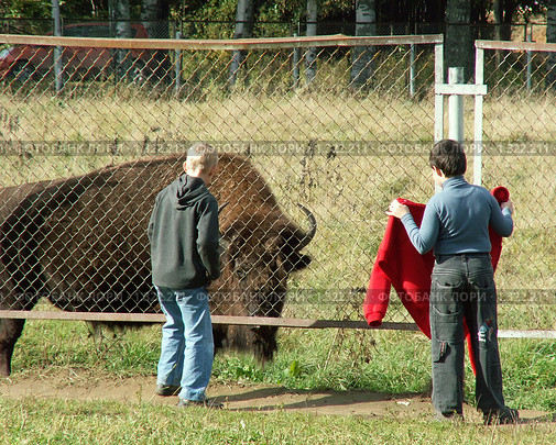 Деревенская школа тореадоров (2007 год). Редакционное фото, фотограф Тарановский Д. / Фотобанк Лори