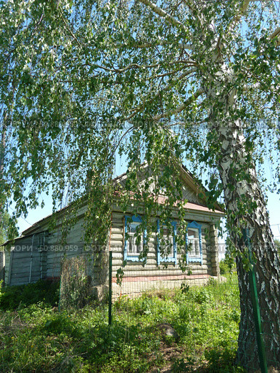 Деревенский дом под берёзой  летом (2019 год). Стоковое фото, фотограф Клавдия Васильева / Фотобанк Лори