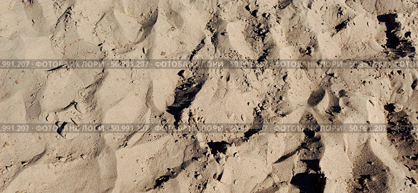 Detailed view of sandy beach terrain with footprints at midday sunlight in a coastal setting. Стоковое фото, фотограф Александра Рублева / Фотобанк Лори
